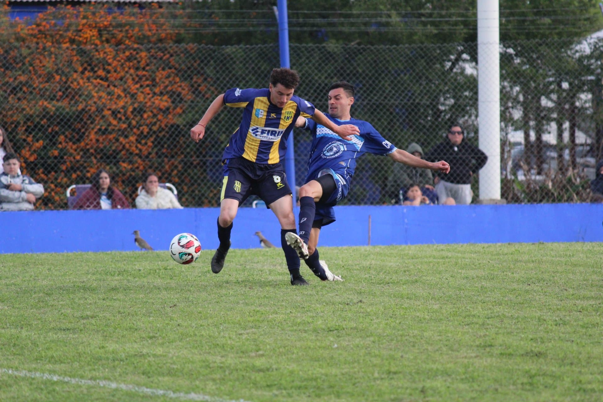 Primera división San José vs Campito 