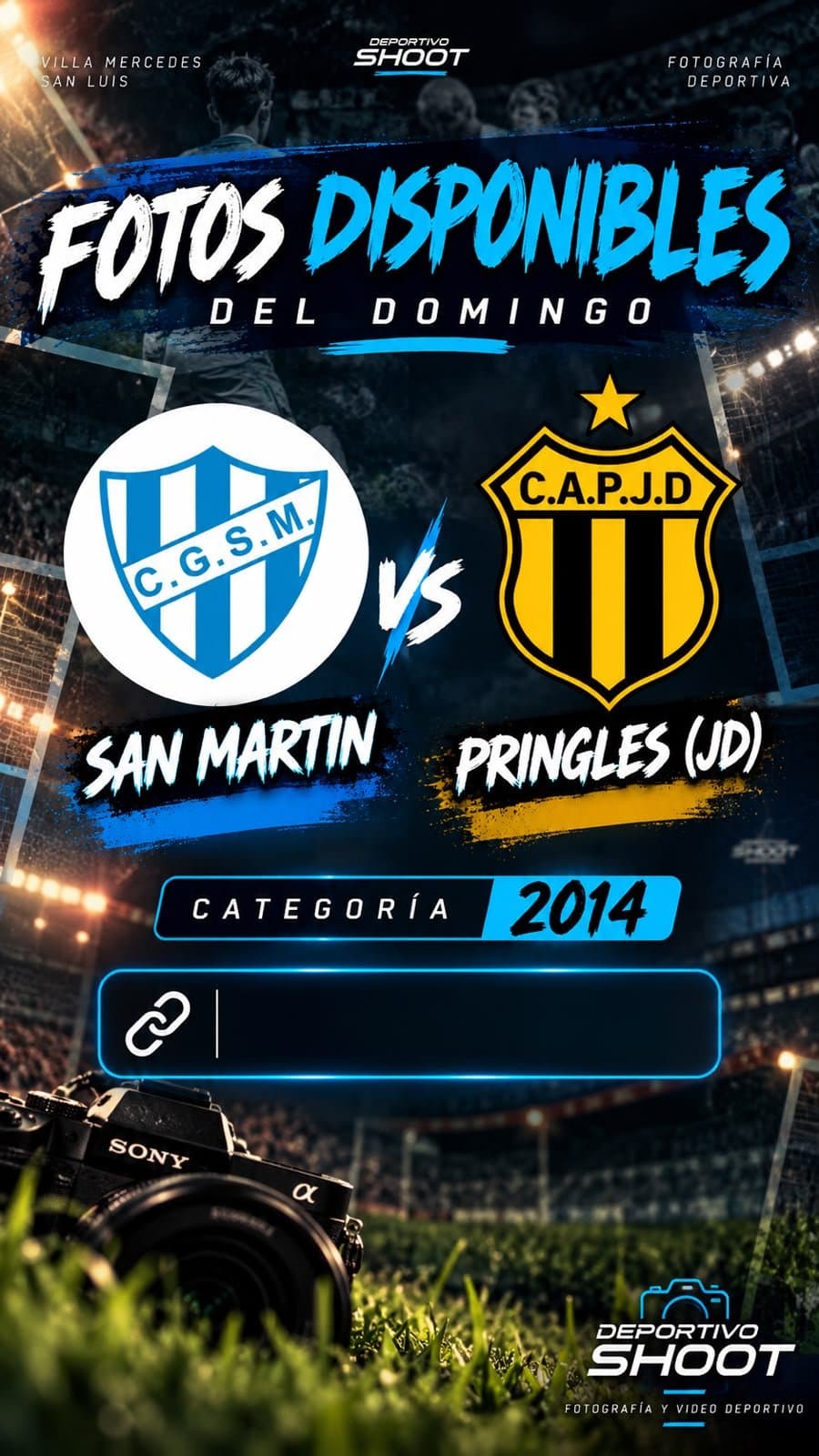 SAN MARTÍN VS PRINGLES (JD) 2014