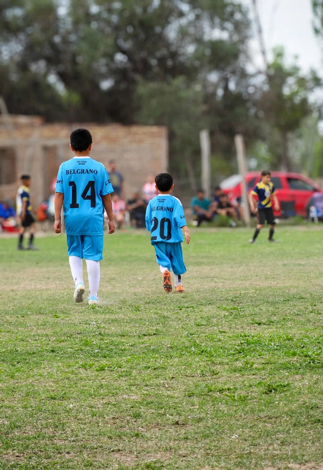 8VA Belgrano