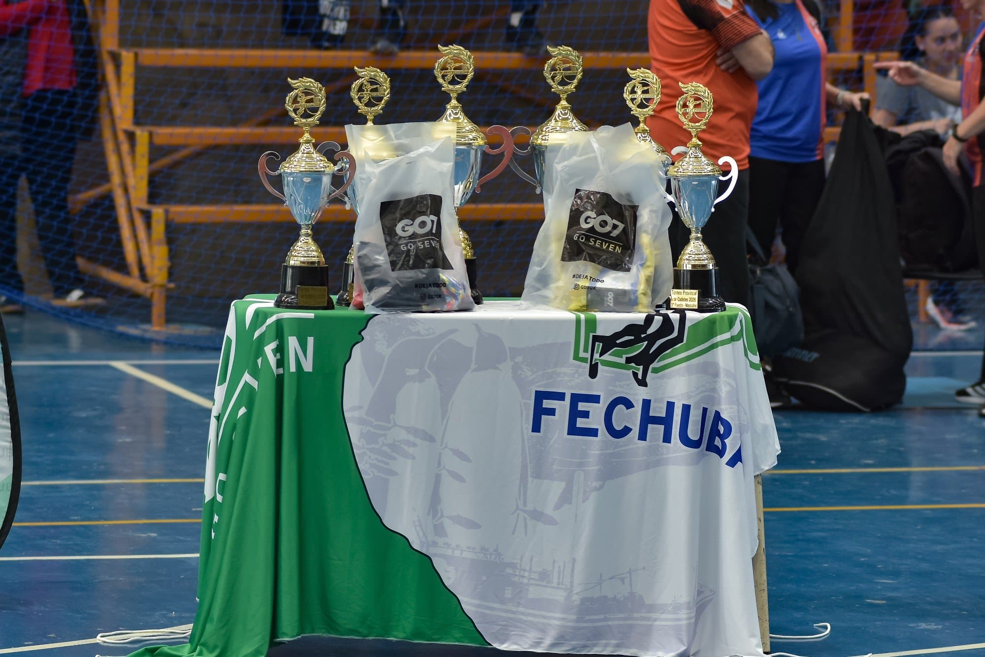 Handball Provincial Cadetes
