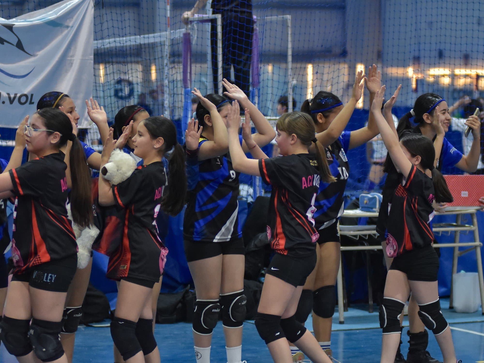 Voleibol - C.A.PA.PRO.V. DE CLUBES