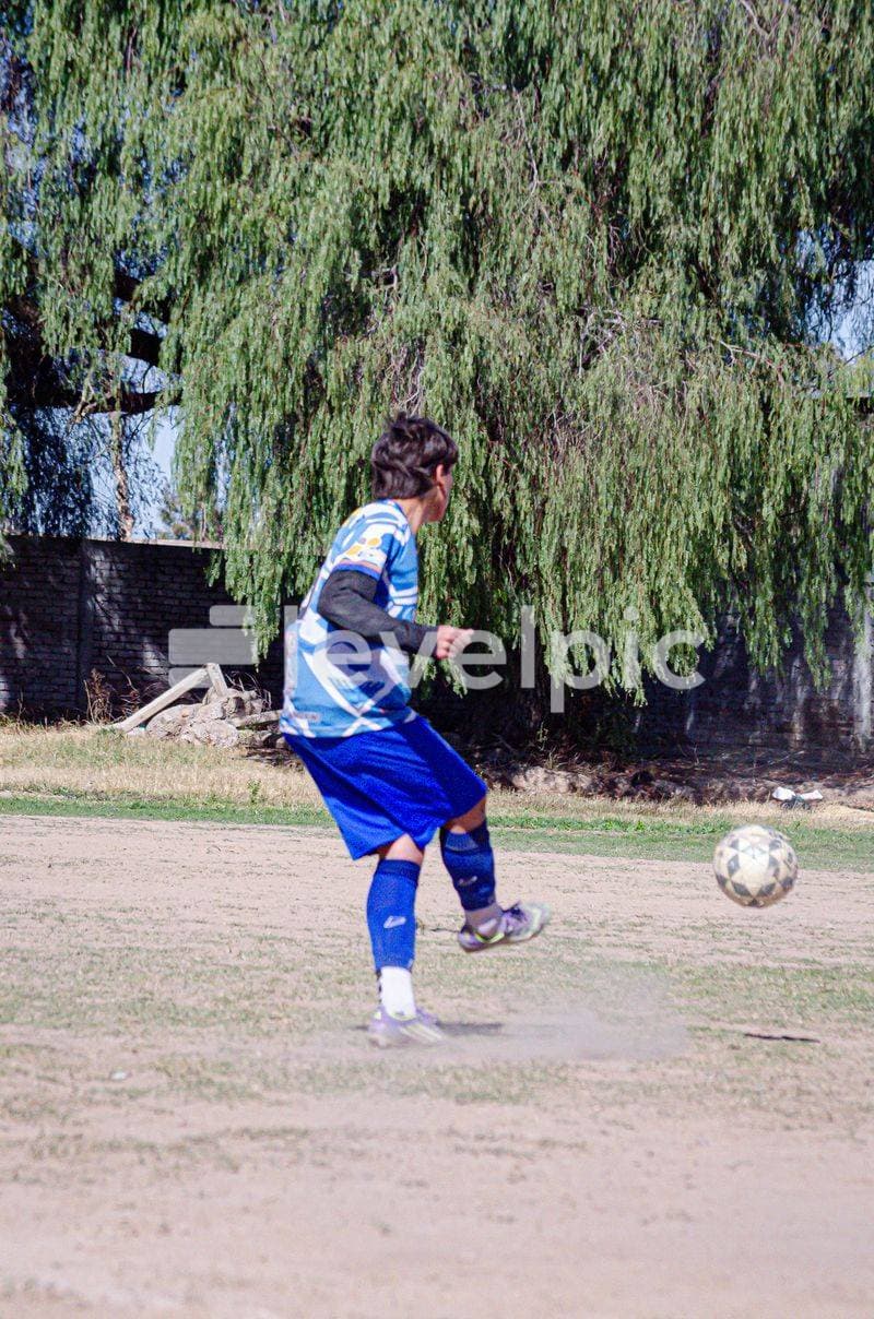 DSC_0316.jpg