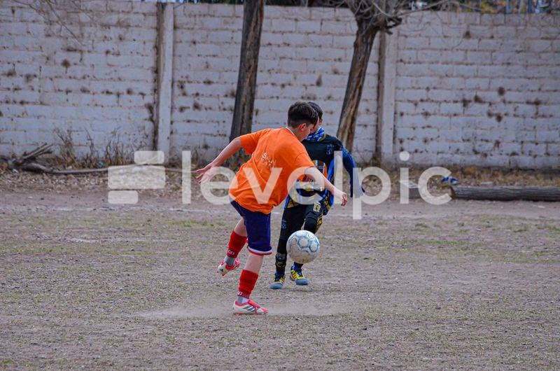 DSC_0046.jpg