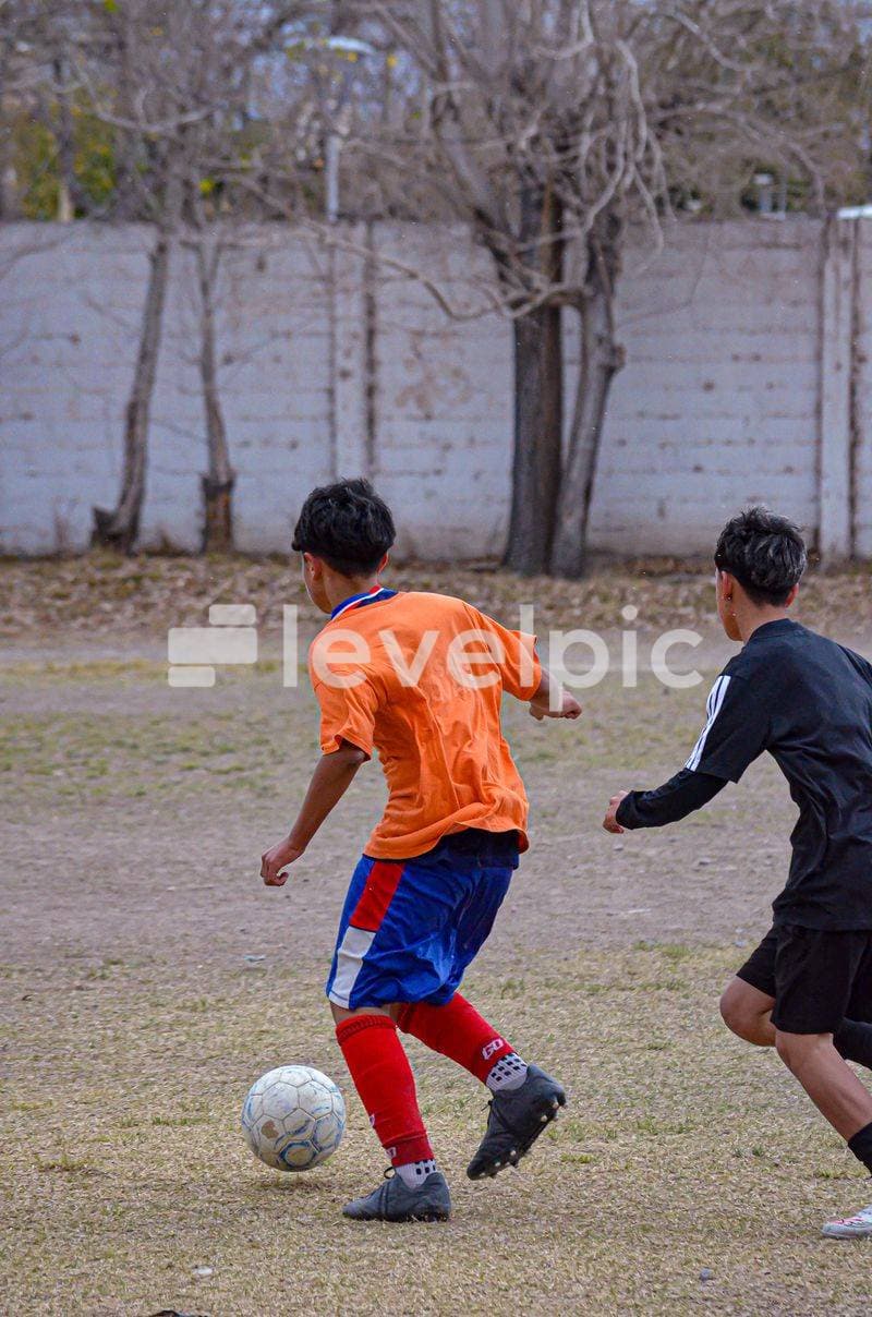DSC_0065.jpg