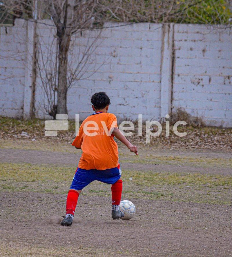 DSC_0101.jpg