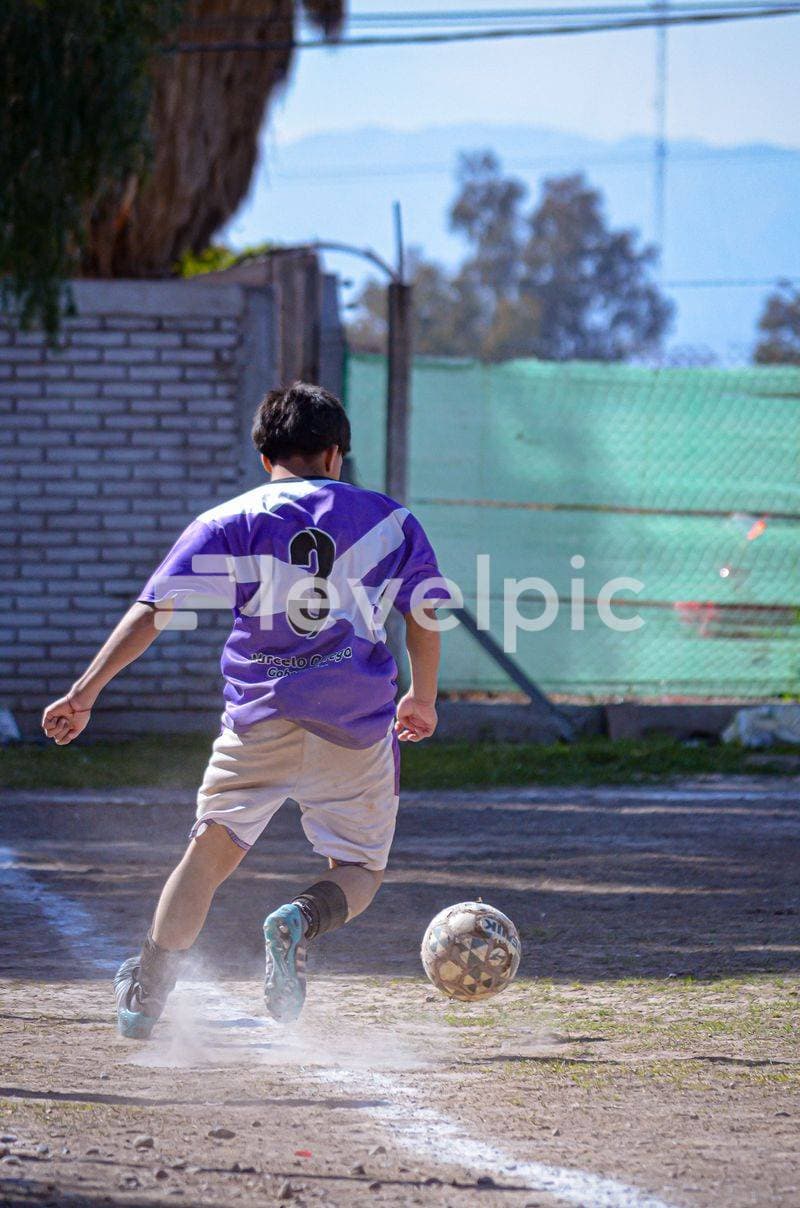 DSC_0177.jpg