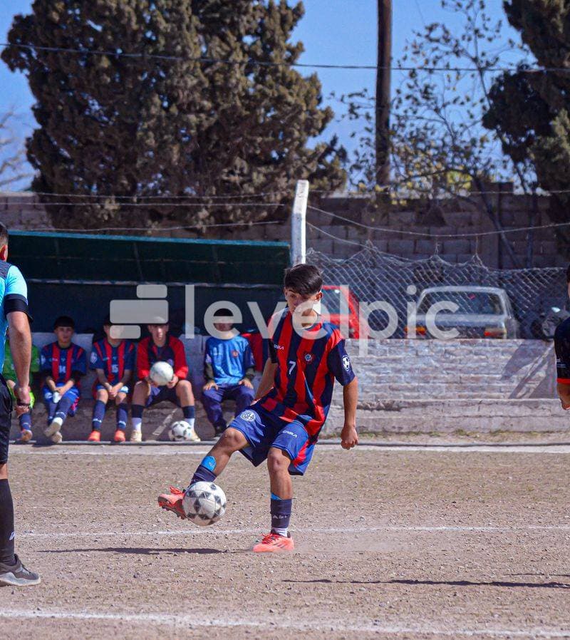 DSC_0085.jpg