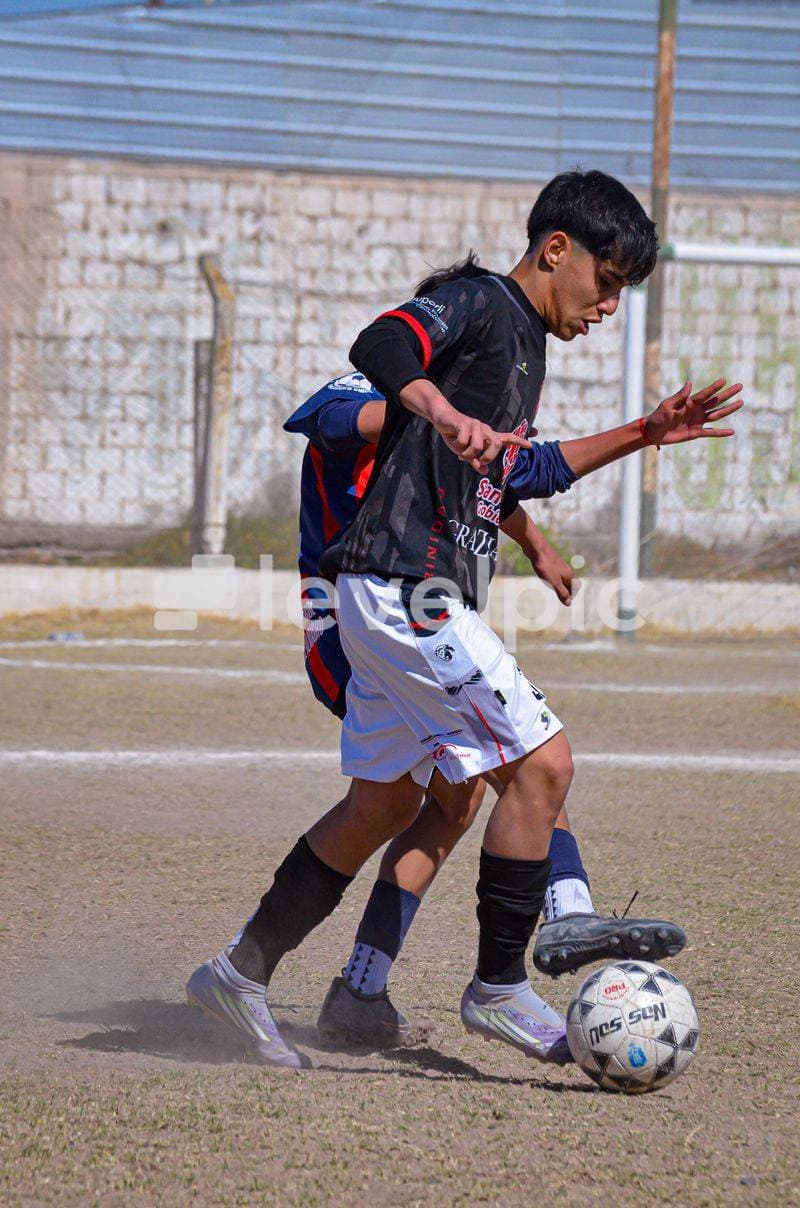 DSC_0105.jpg