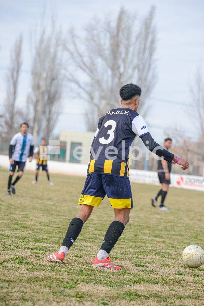 DSC_1229.jpg