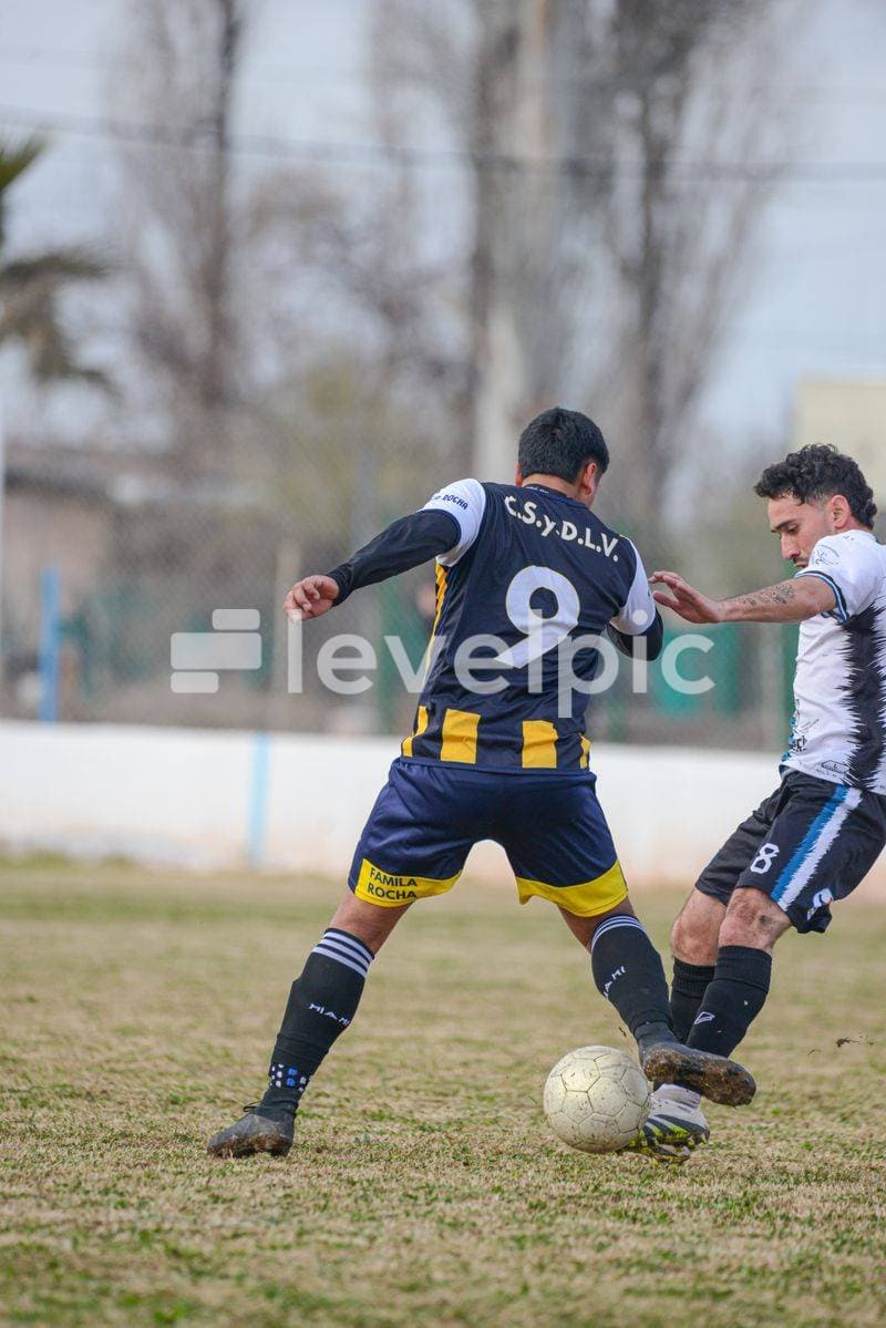 DSC_1224.jpg
