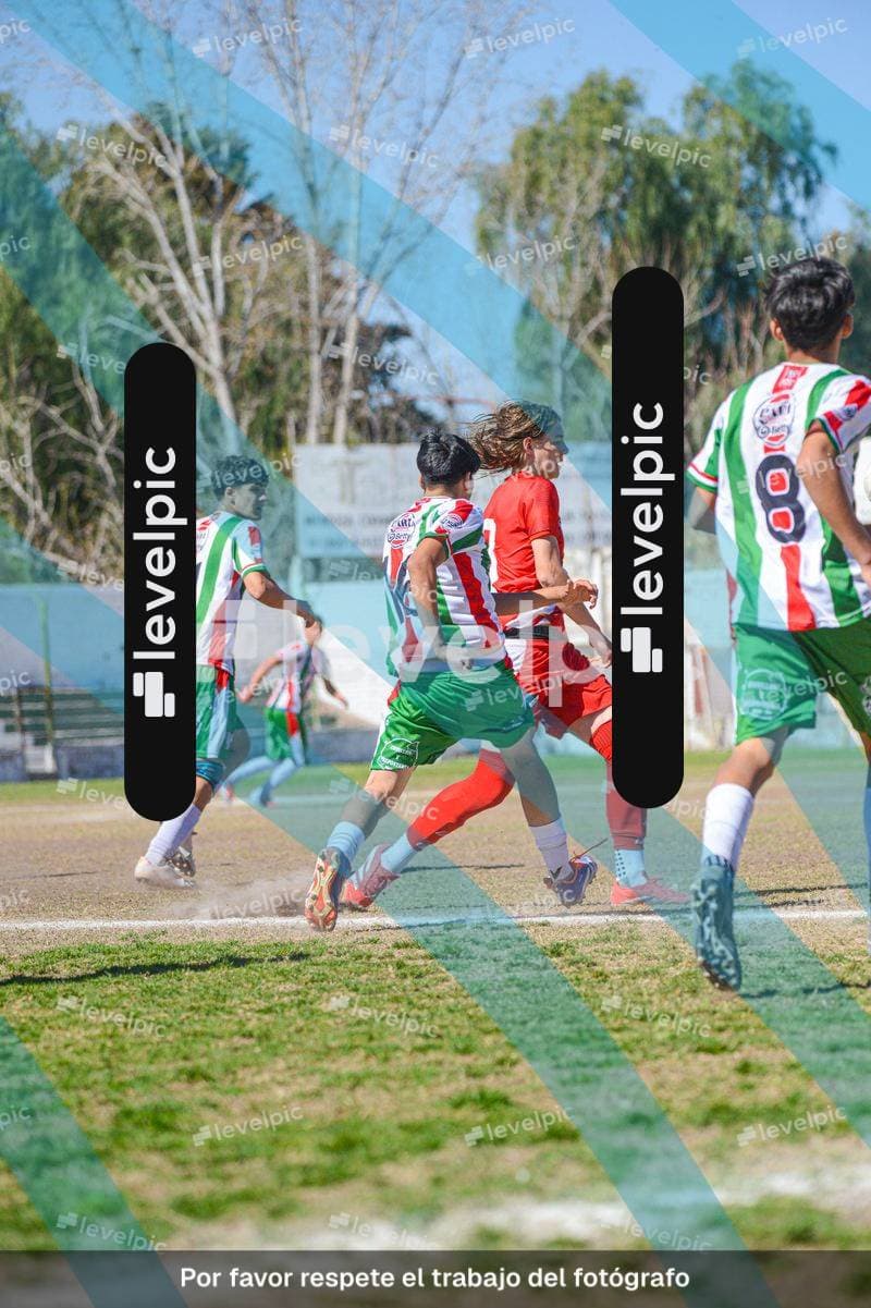 guayma.jpg