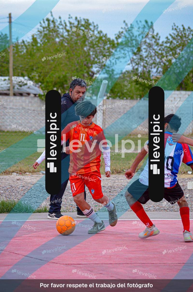 DSC_0208.jpg